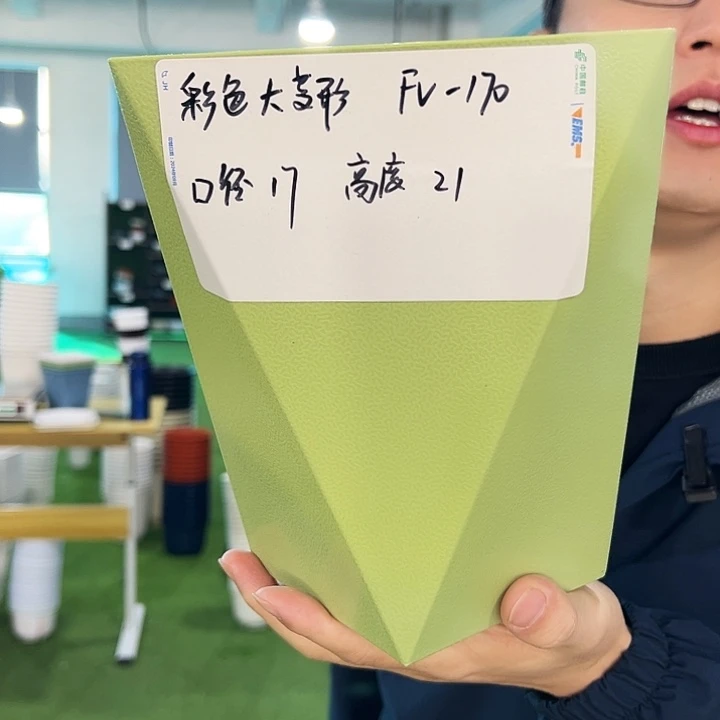 fv170口17高21果绿带托6只