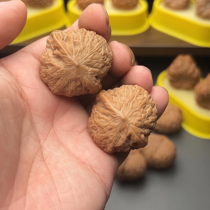 董***貌37尺精配头货铁锤