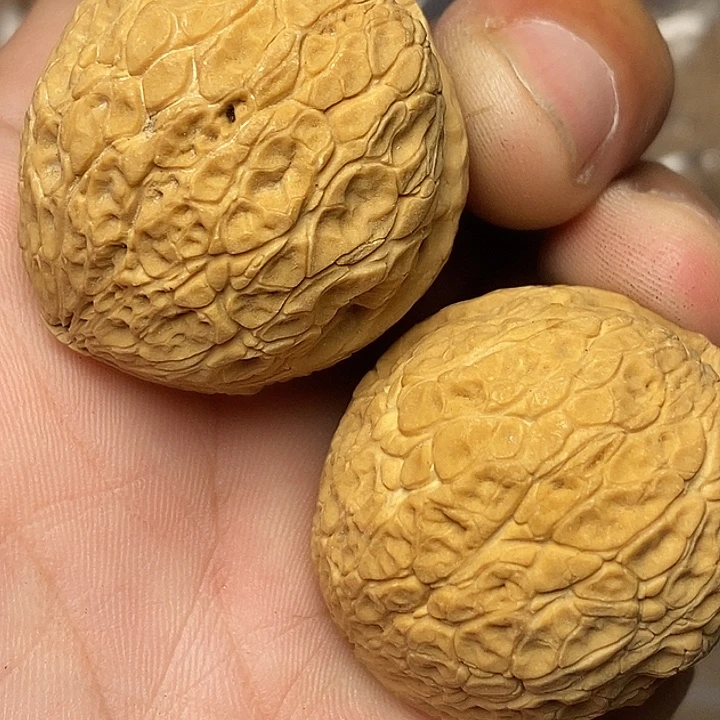 文玩核桃把件云南铁核桃37