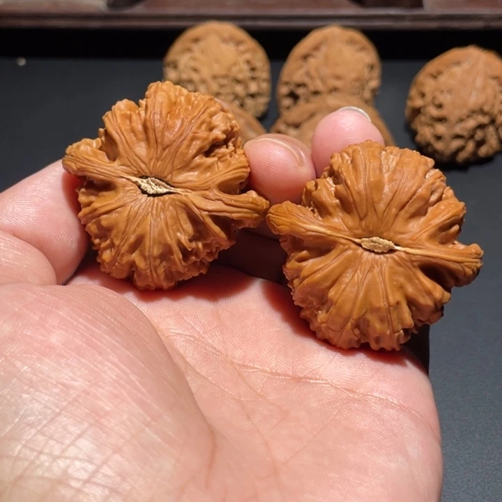 中***华桃核吊坠43白狮子22222