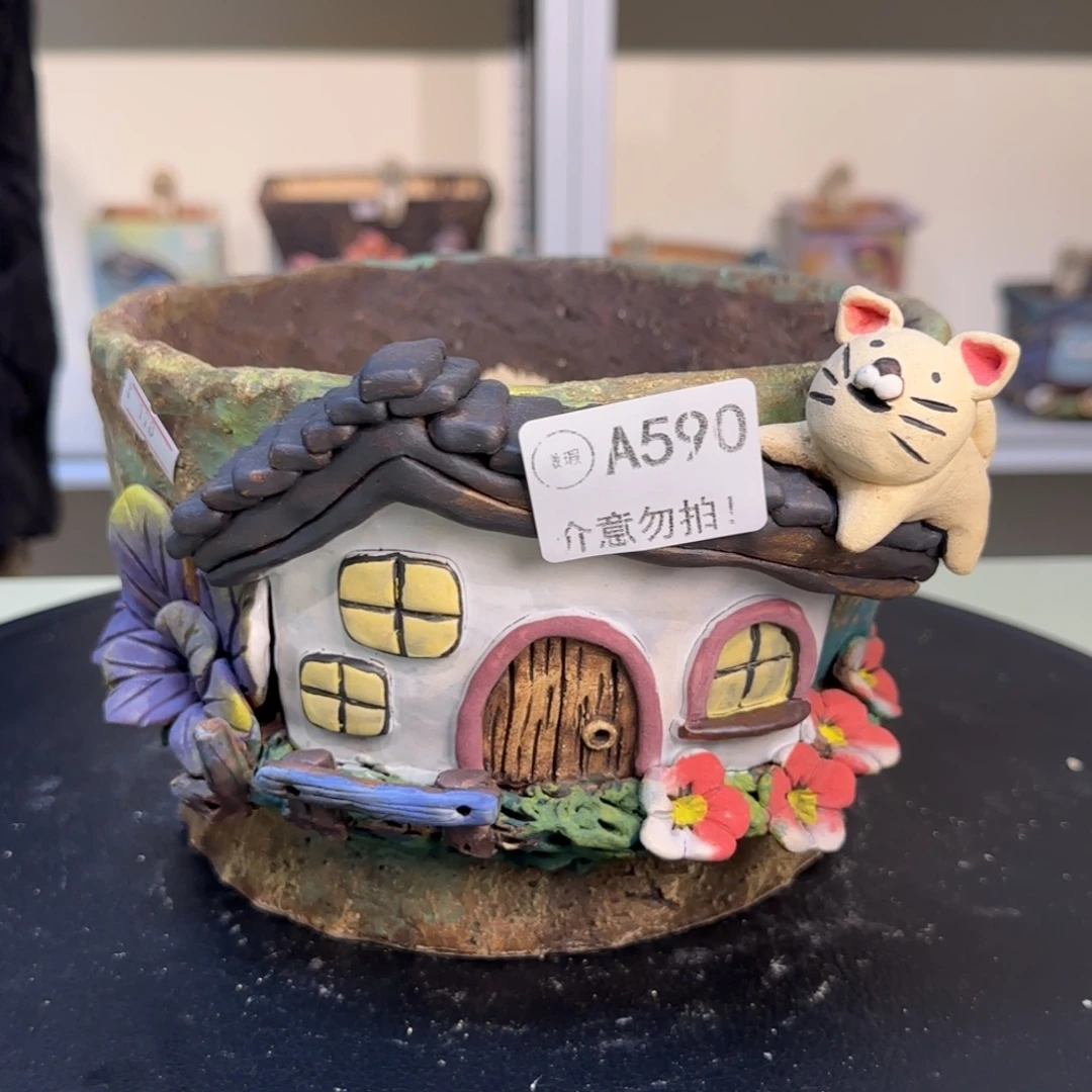 A590 【闪购】多肉花盆