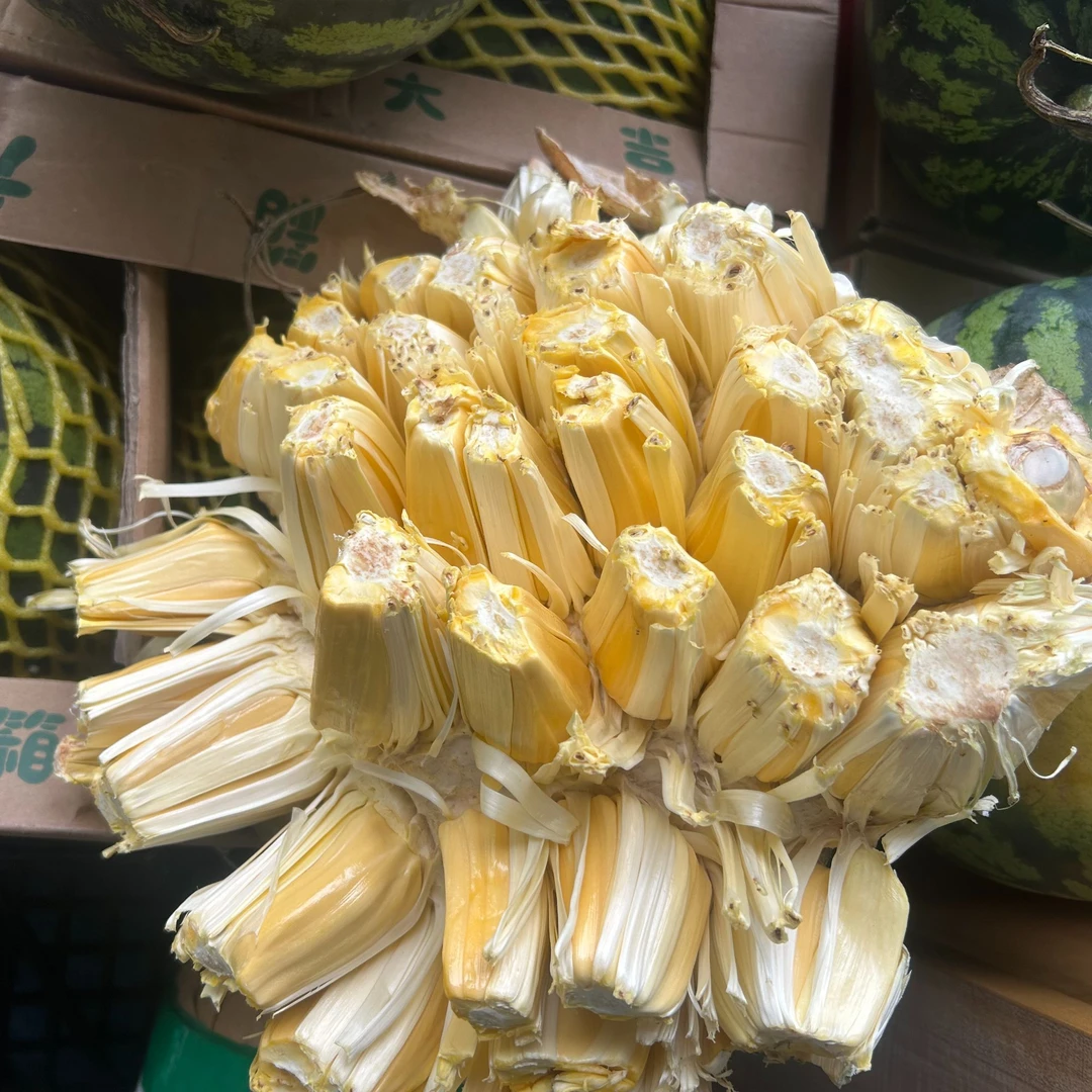 (西宁同城配送)越南干苞黄肉菠萝蜜一整个9到10斤左右越南