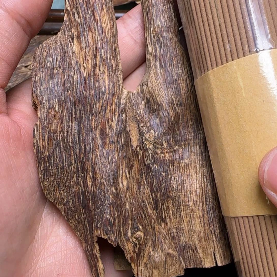 海南天然野琼海虫漏11克重福利