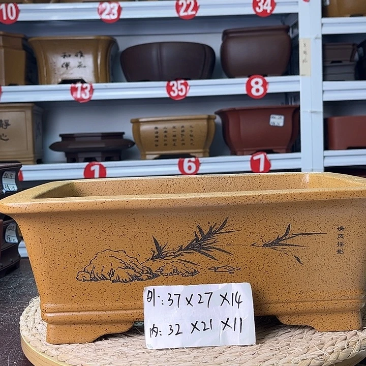 花盆紫砂我也是一