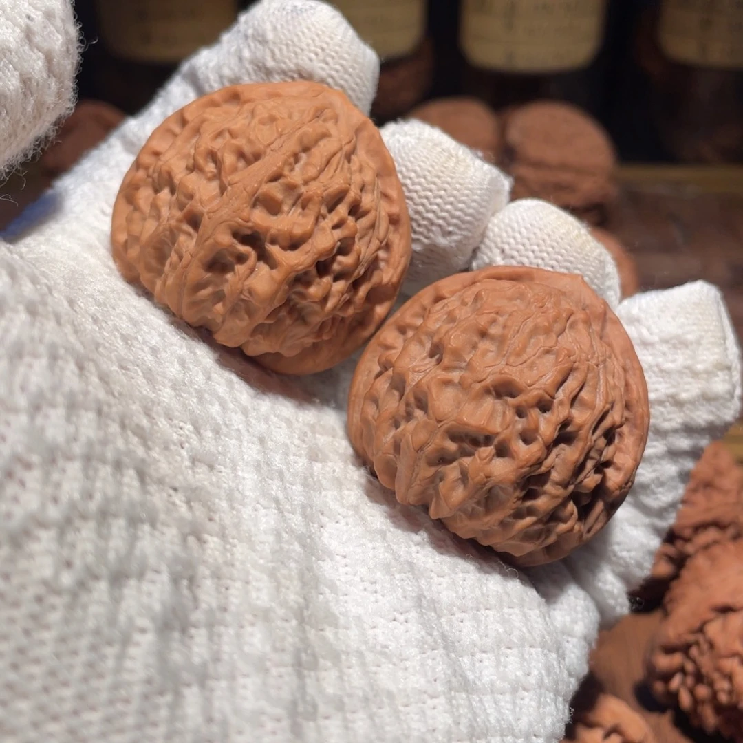 核桃41金牛mmmmmmmm