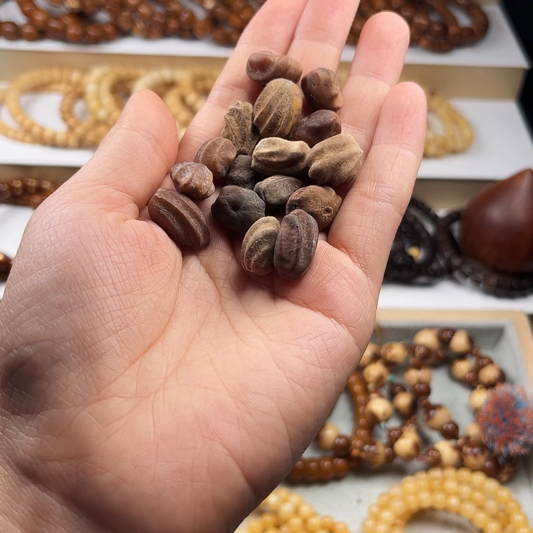 藤艺手串s****e龙脊原籽500克