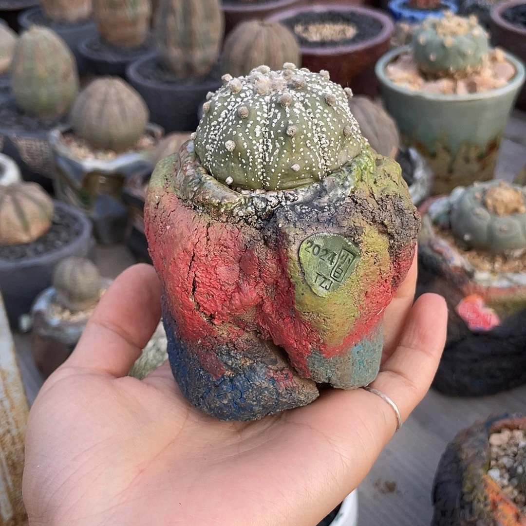 ****6微次 哈哈哈哈哈哈哈哈哈哈哈哈