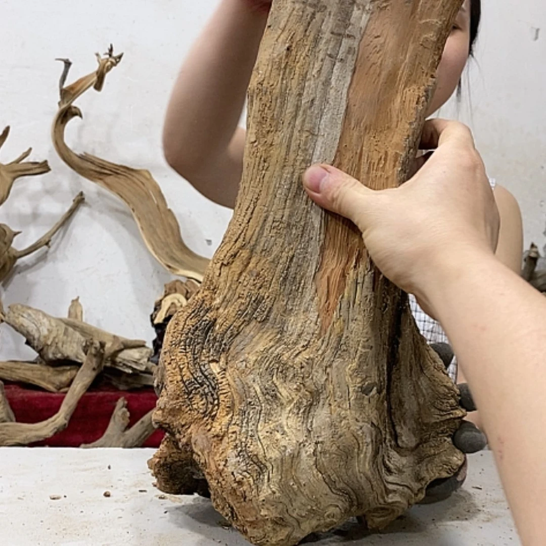【闪购商品】柏木西*狼我们都是好孩子啊