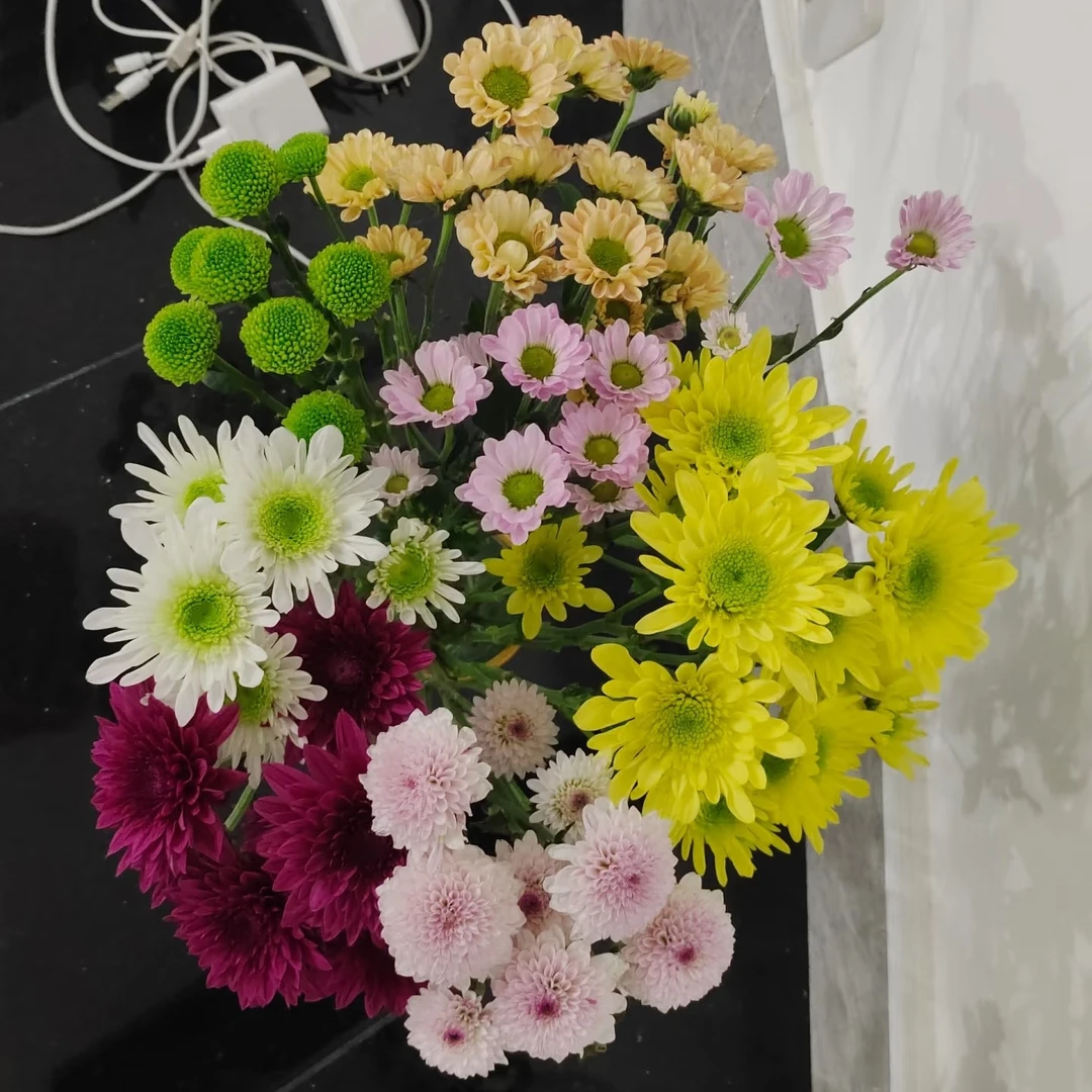 ♛随机彩拼小雏菊3～5色♛ 全场两单送配草 三单送花瓶  拒收不售后