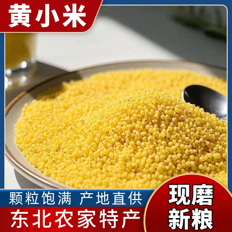 【到手五斤】正宗黄小米孕妇宝宝月子米当季新粮米油醇厚五谷杂粮H