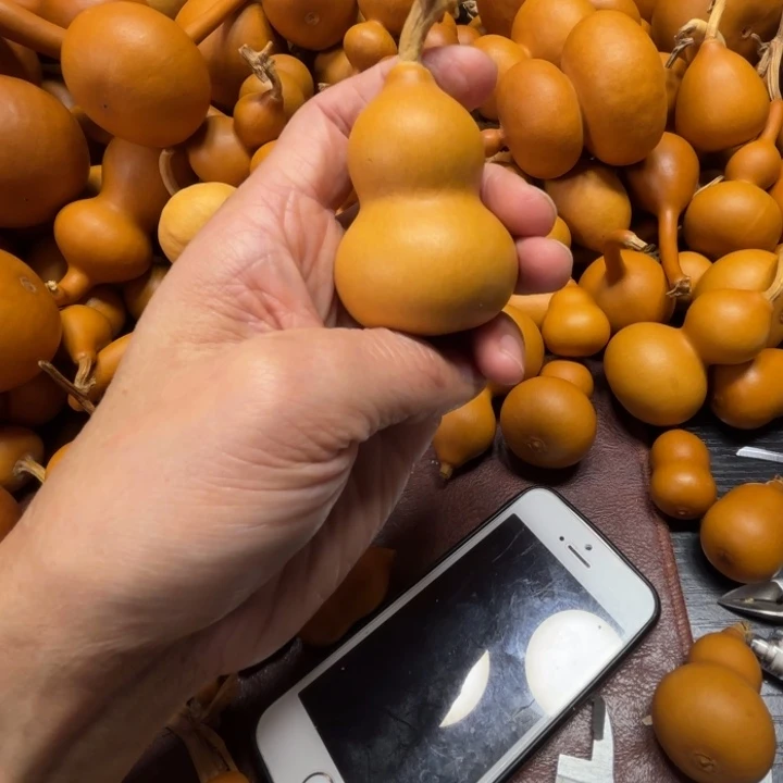 ?*新酒的一把胖墩葫芦新酒