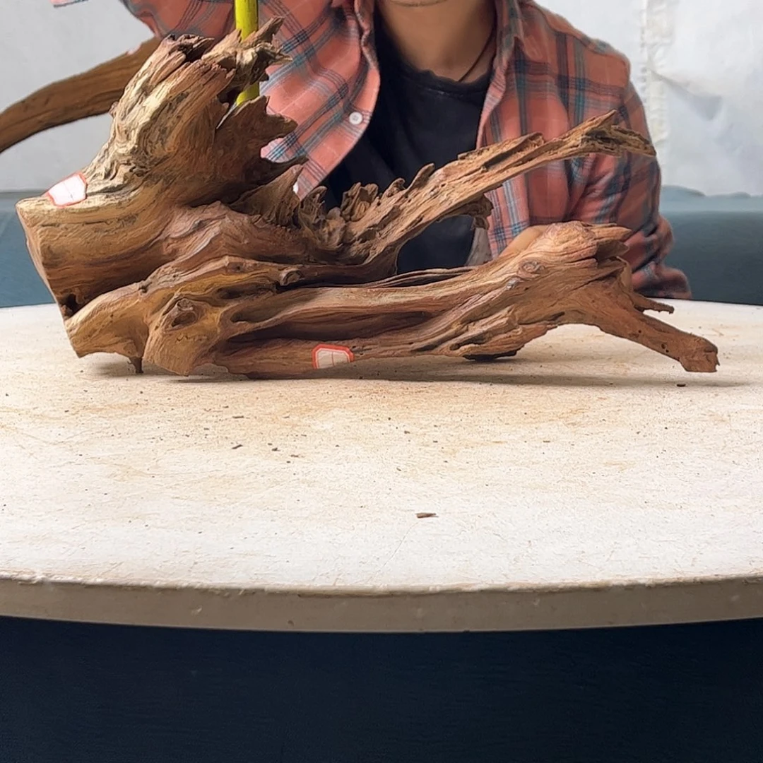 沉木造景爬宠造景