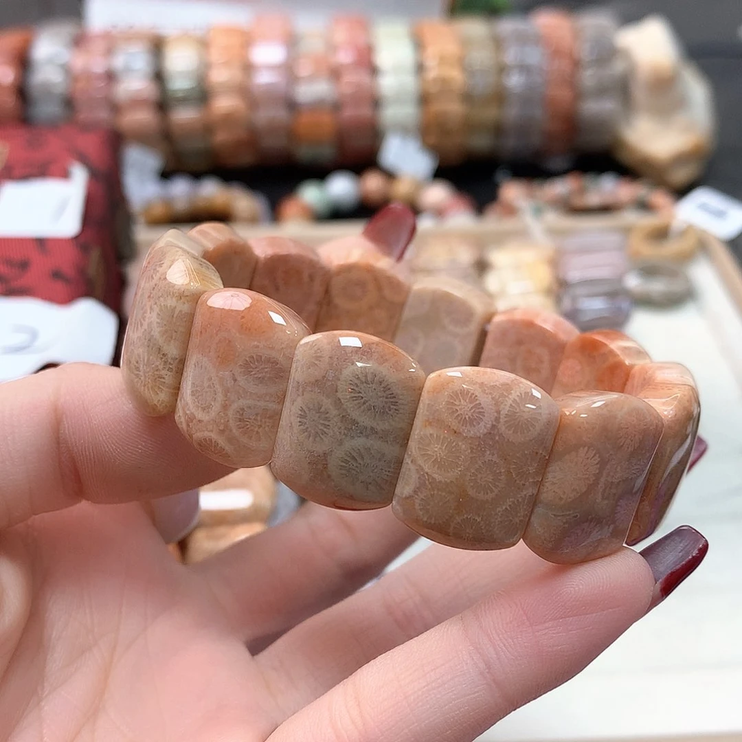 硅化珊瑚（珊瑚玉）手链未镶嵌猫****⡱261