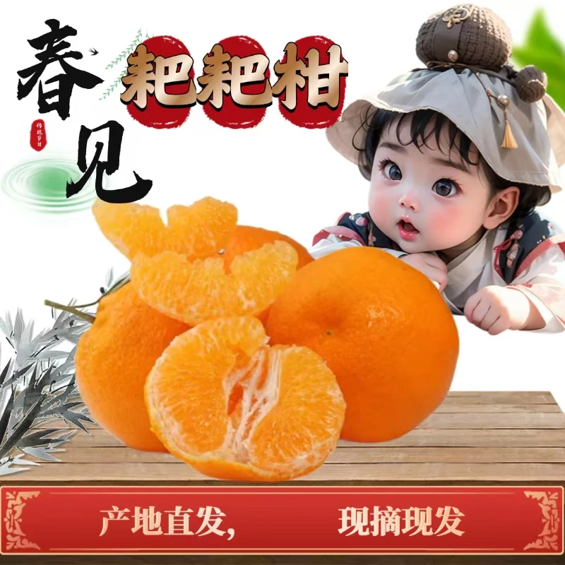伊甸园春见粑粑柑四川浦江新鲜当季新鲜水果5斤8斤