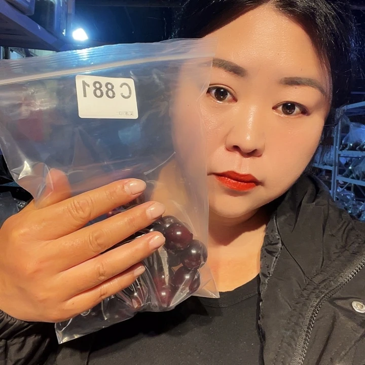 双***盈大果紫檀（缅甸花梨）881