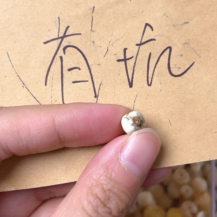 蜜蜡未镶嵌裸石7.2mm一个