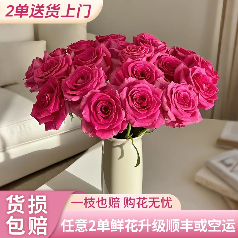 【源头优选】弗洛伊德玫瑰-任意2单升级快递发货后不支持退款