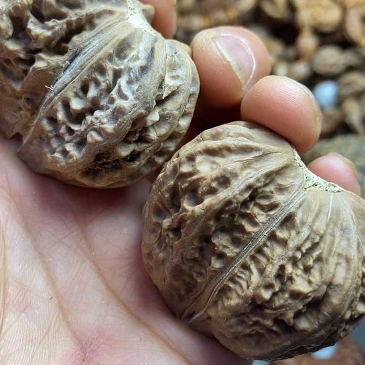 杨***哥文玩核桃吊坠拿姐工艺19