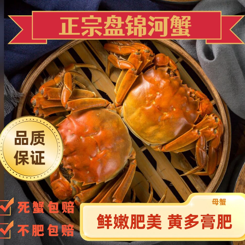 【鲜活】盘锦稻田蟹全母【0.8～1.0两】2斤/3斤冷链空运运输 鲜活发货