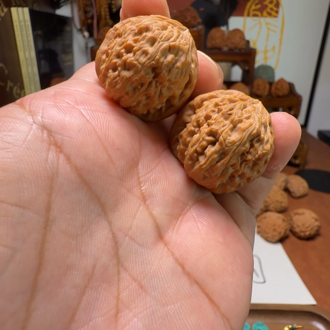 道哥俱乐部f白狮子手撵31