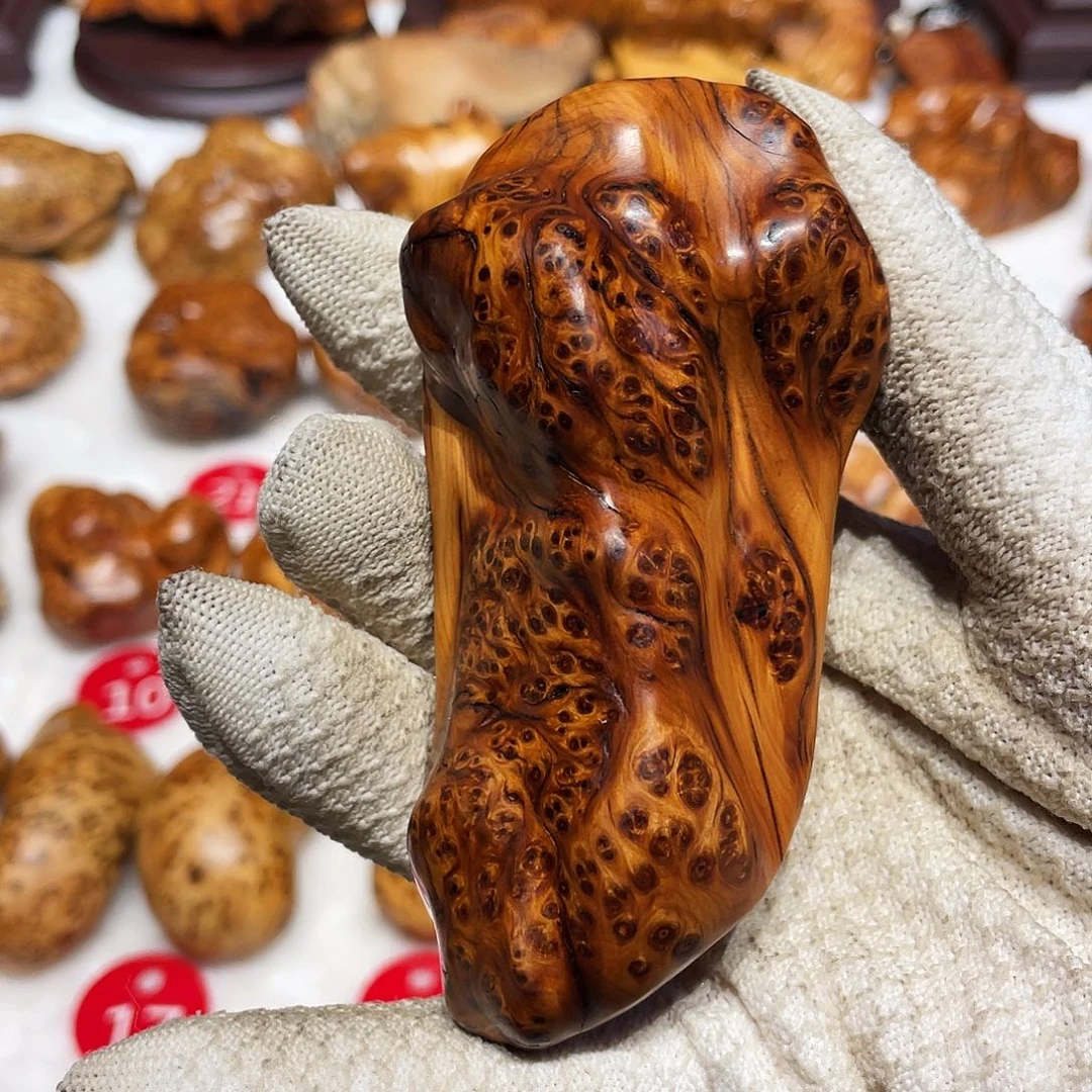 柏木（崖柏）太行崖柏陈化料