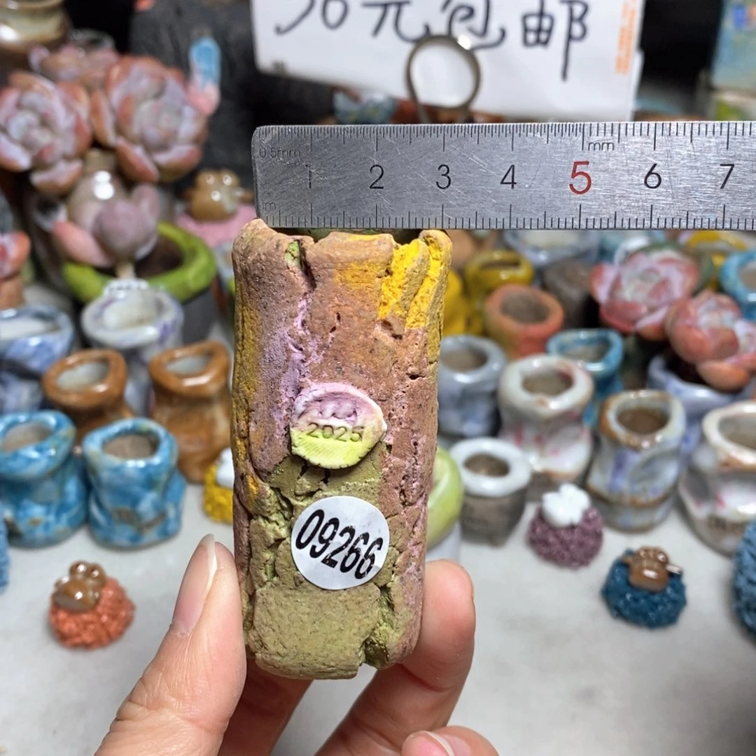 拍3送一个小礼物