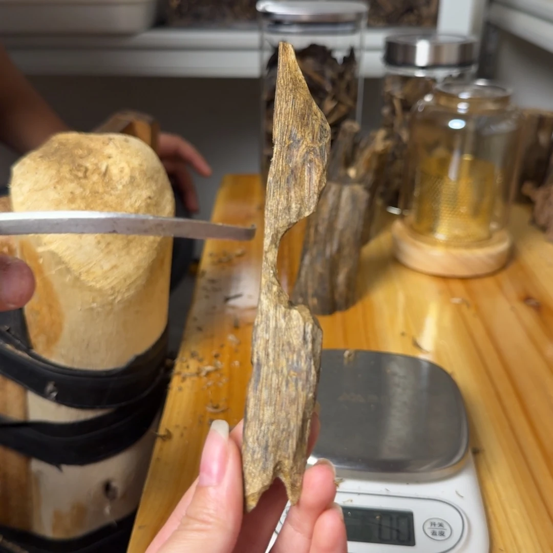 沉香张勺子虫漏香9.9克