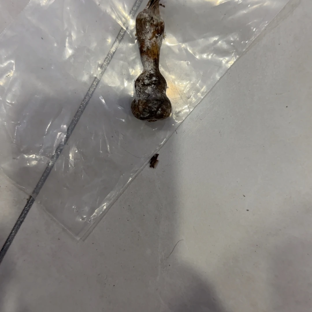 一***士葫芦返回化工厂VB好脚后跟GV哈哈