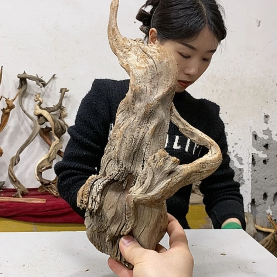【闪购商品】柏木p****t我们都是好孩子