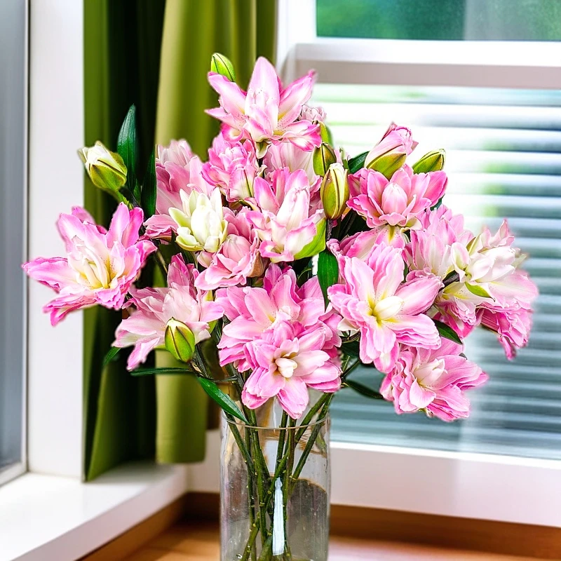 云南木木花卉莲花之境重瓣香水百合花 #高贵淡雅鲜切花送礼家庭