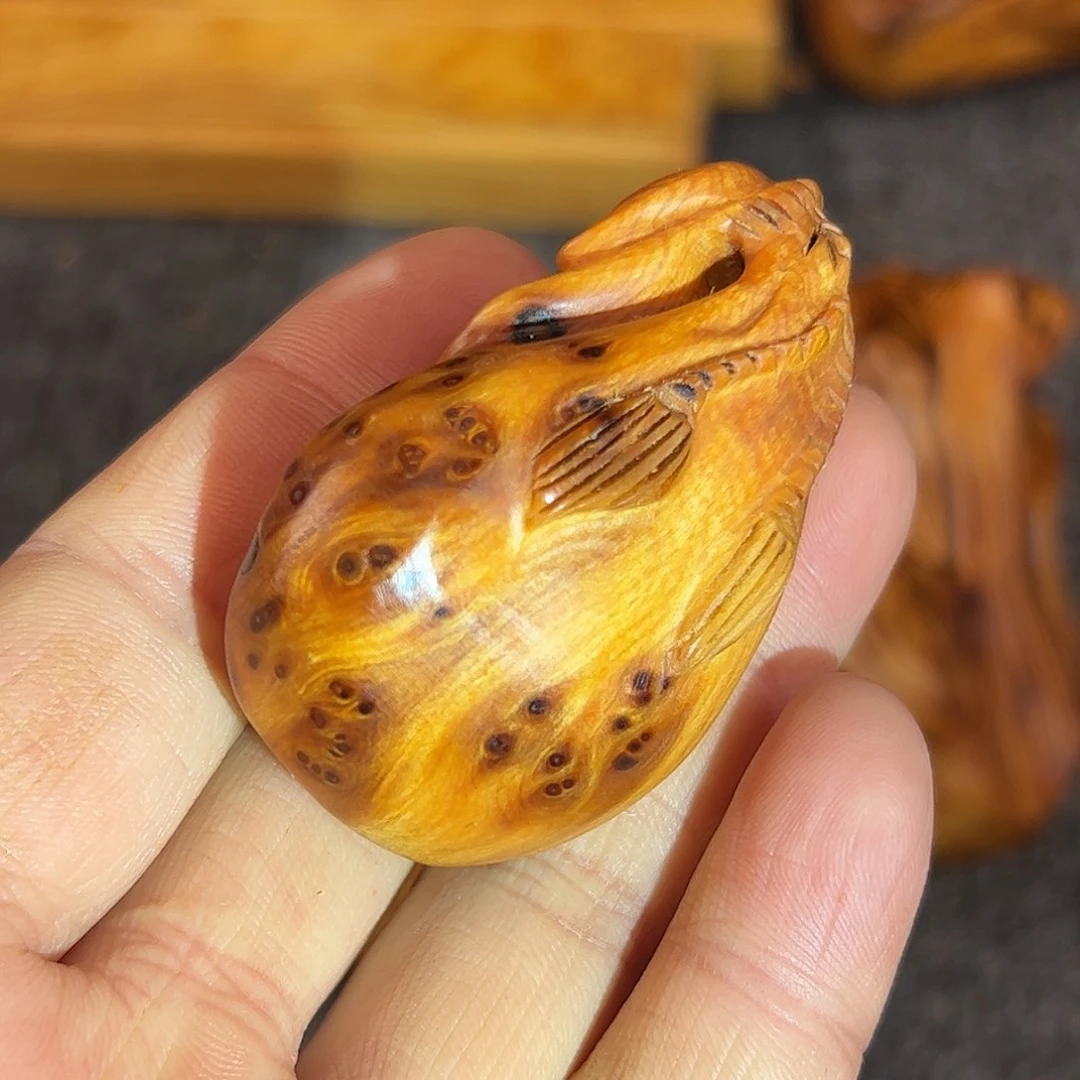 崖柏太行崖柏独根黑金刚瘤花钱袋