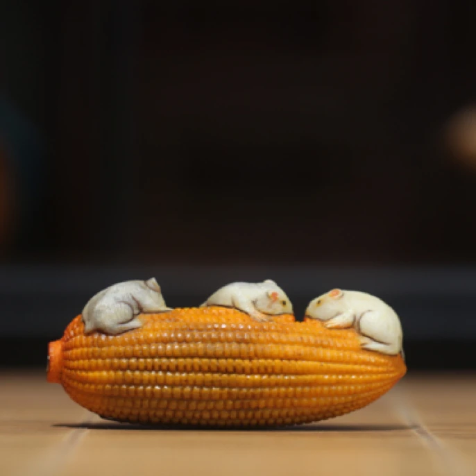 鼠你有米 鹿角雕刻 方颜作品 纯手工 配饰挂件 手把件 摆件