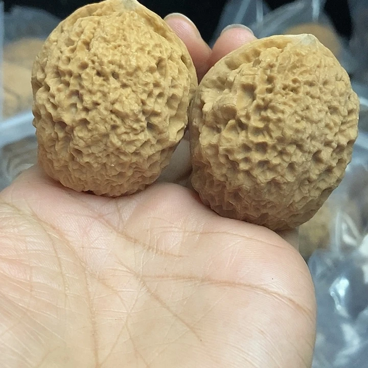 木质类云南铁核桃+86