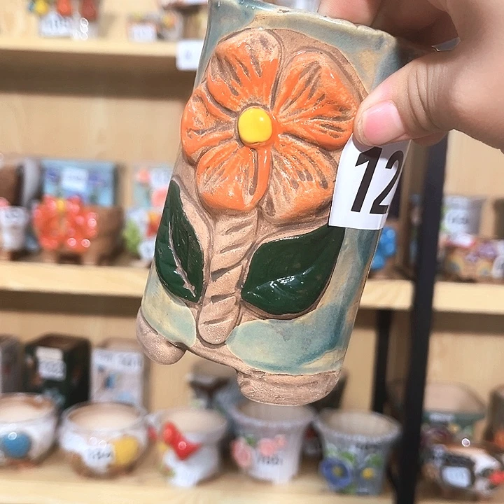 多肉花盆满15包邮