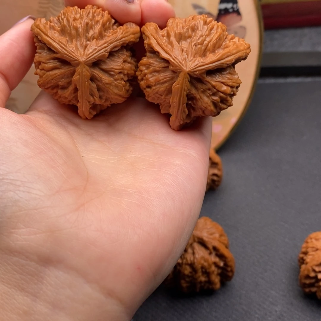 鲁**壮白狮子11111111111