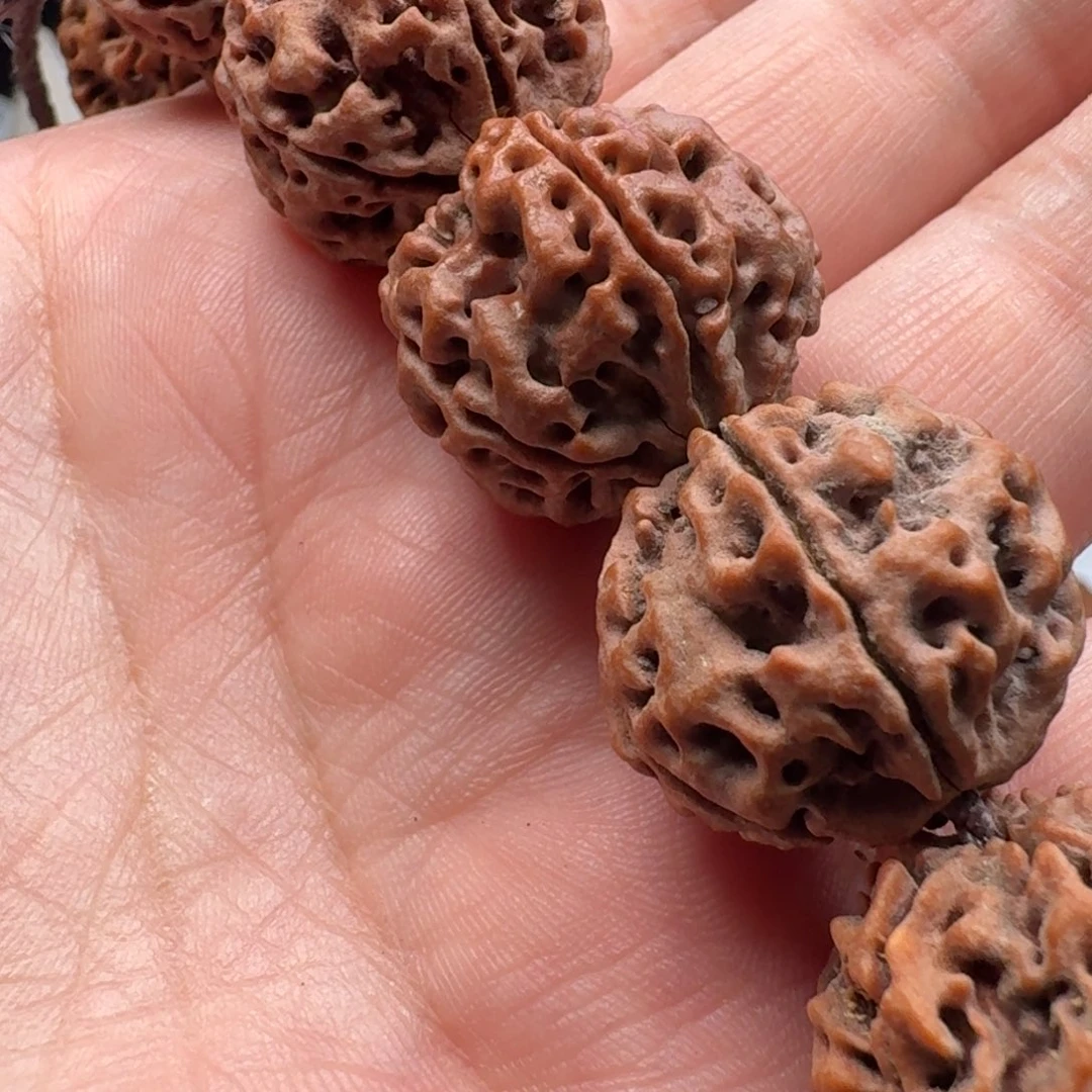 ^***^手串金刚菩提蜂窝双龙