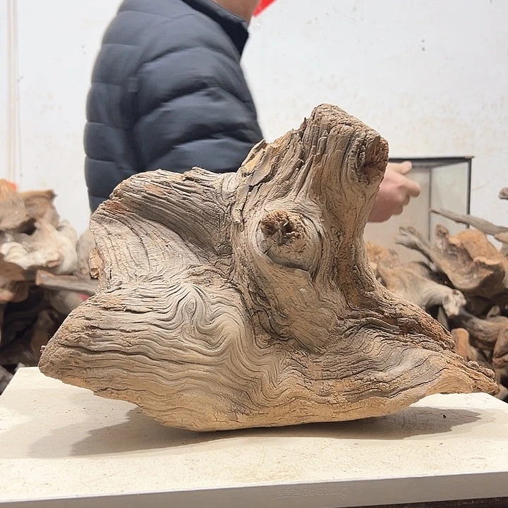 柏木1****9我们都是好孩子呀我也