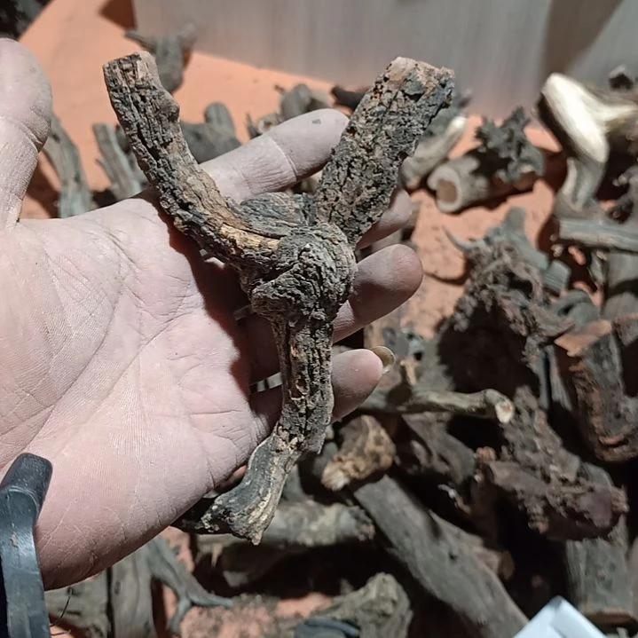 图*在火琉璃原叉原叉原叉