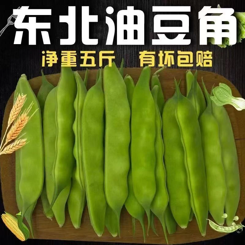 农家新鲜现摘现发紫花小油豆角开锅即烂口感鲜美炒菜炖排骨