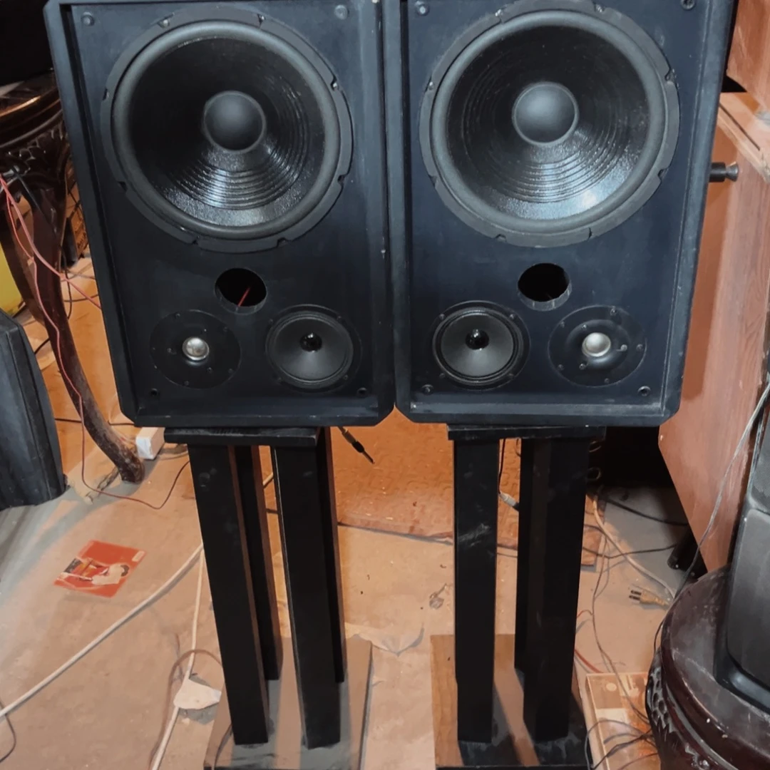 8新普圣10寸专业箱一对包邮