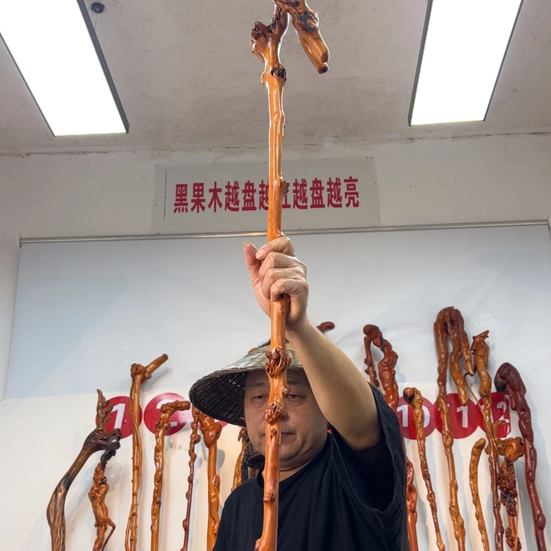 手***行黑果木其他黑果木165