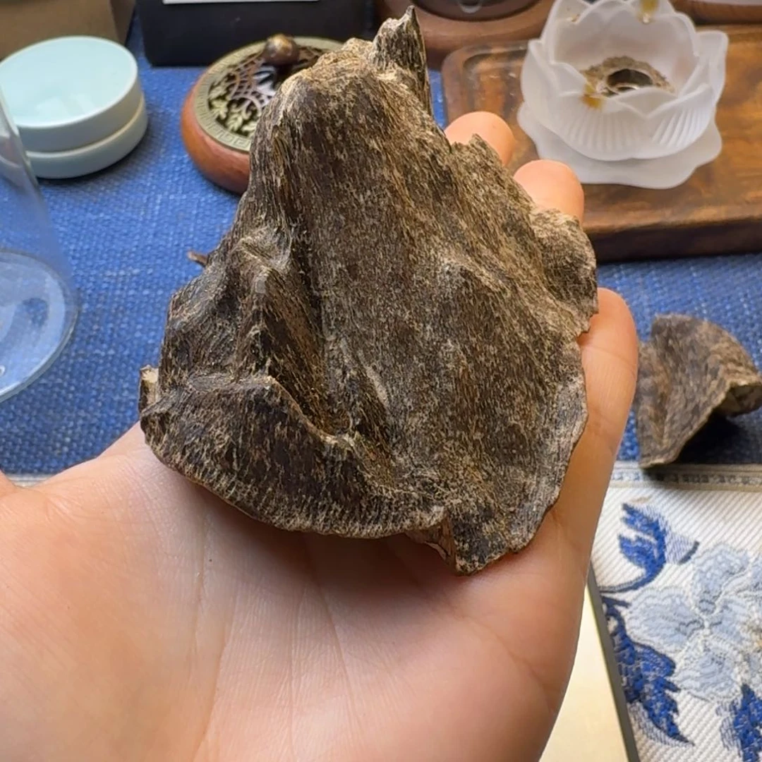 树脂制品用*香港老包壳一块8.5