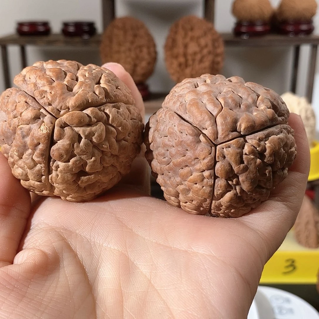 文玩核桃把件欢**1三瓣脑纹金刚练手不退不换4956