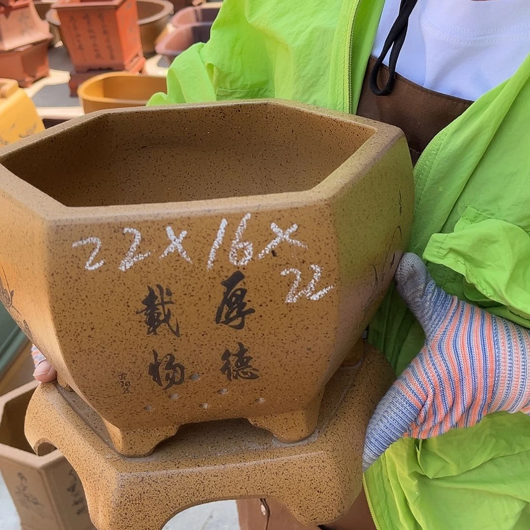 紫砂花盆盆景艺术