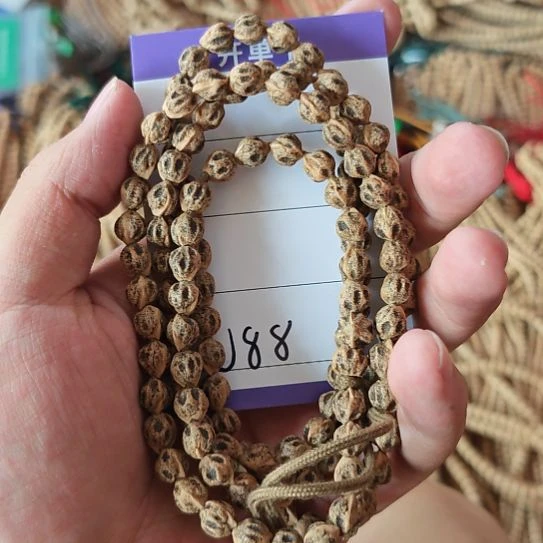 柏香籽/百香籽手串j88百香籽7mm+深坑尸陀林原桩脏鬼