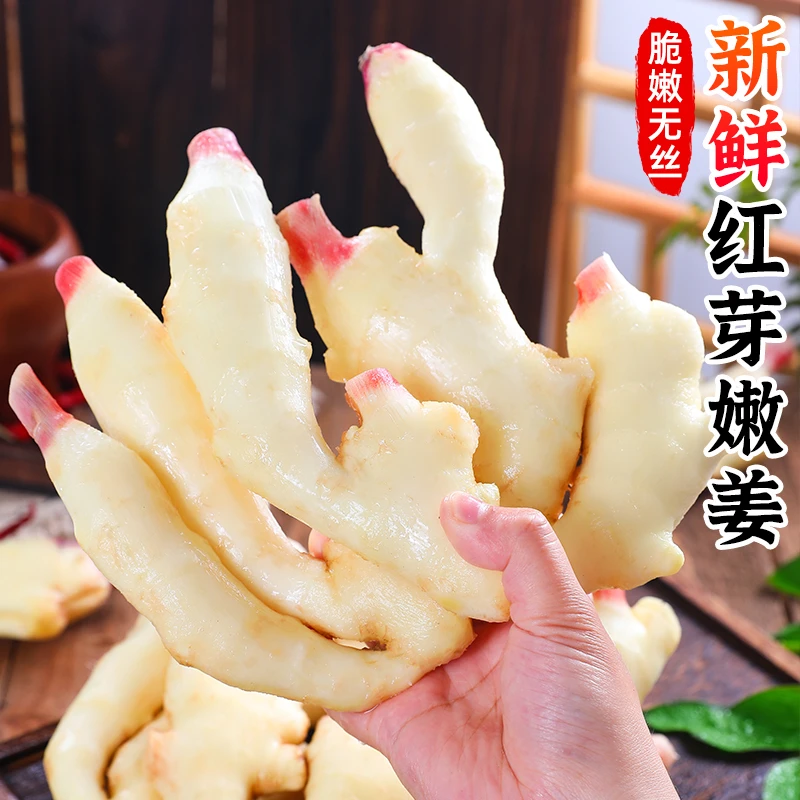【脆嫩无丝】新鲜红芽嫩姜0.5-8斤脆嫩红芽仔姜子姜小黄姜生姜蔬菜