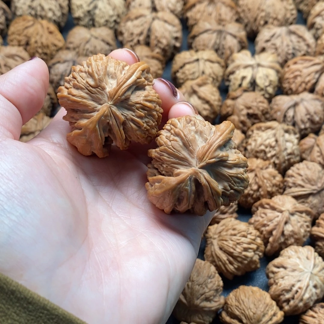 文玩核桃把件43白狮子角