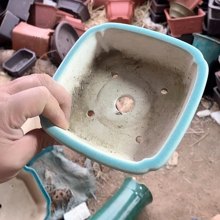 紫砂淘宝的时候就不一样了……