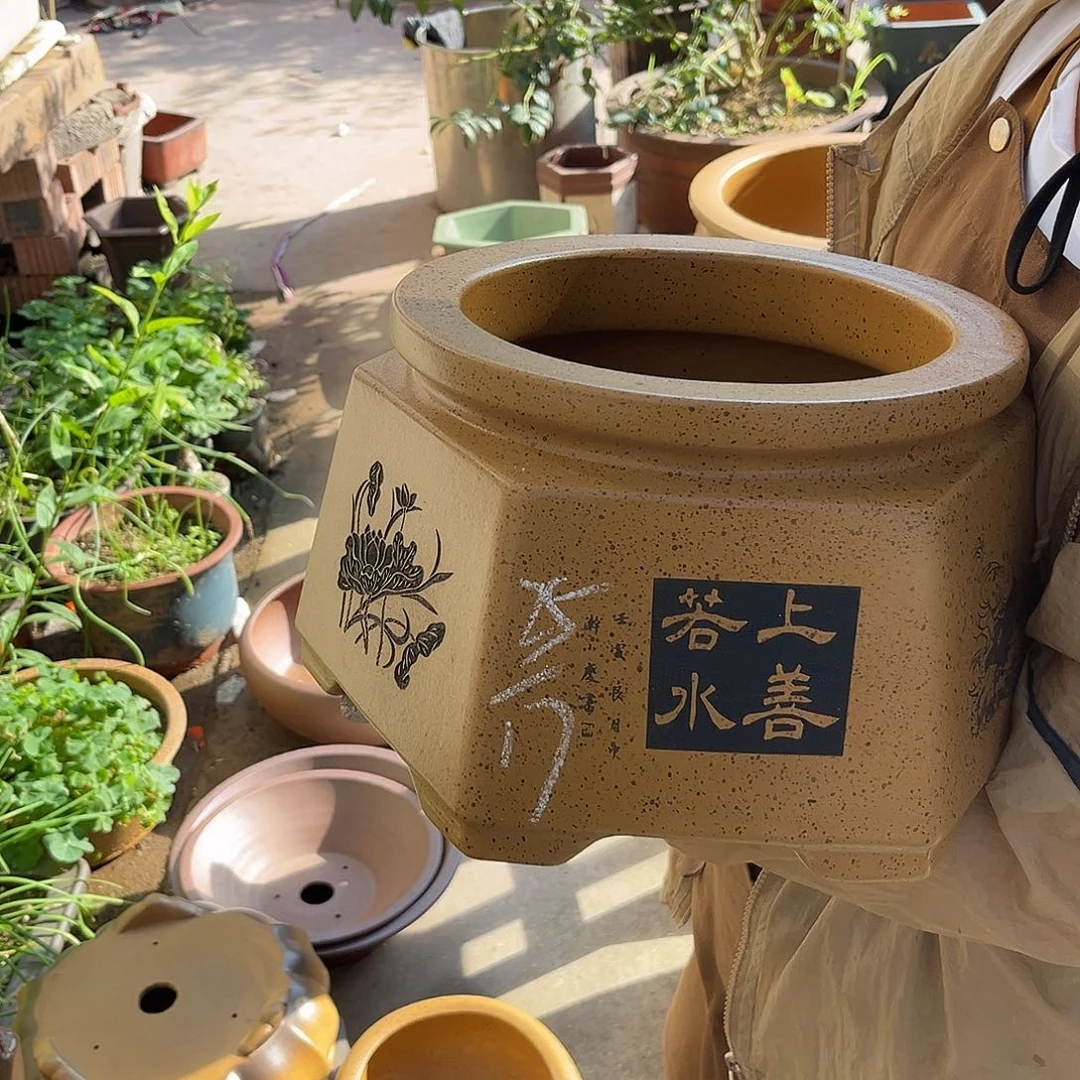 紫砂花盆盆景艺术