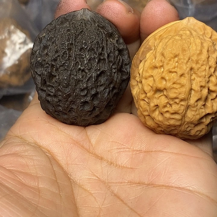 文玩核桃把件云南铁核桃89
